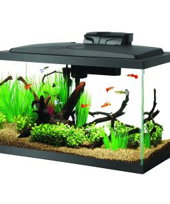 Aqueon Aquarium Starter Kit, 10 Gallon Glass Fish Tank, LED Lighting, Filter and Heater
