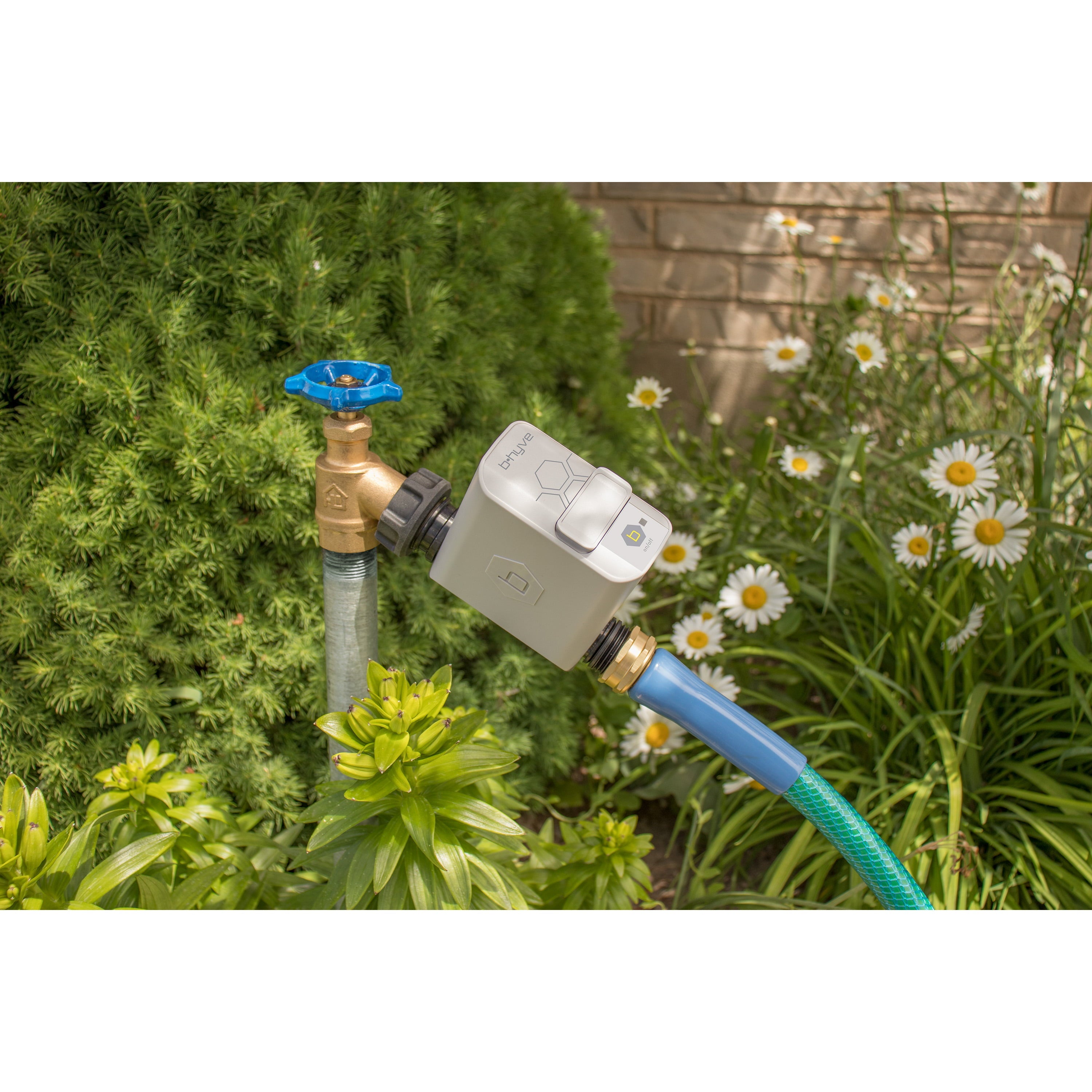 339BE39F-E970-33D9-C1D8-B91A88ABD796