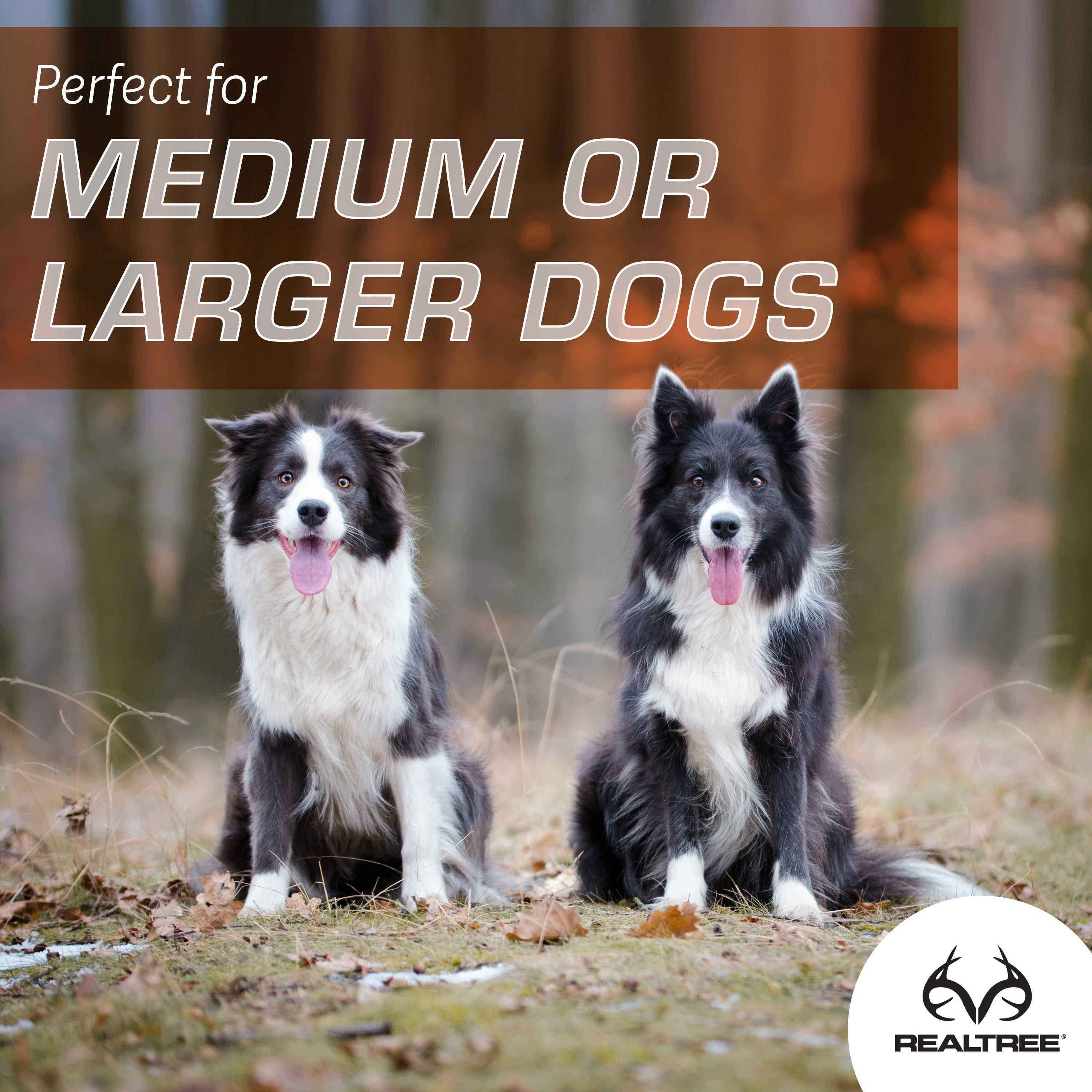 4B43A1D1-C439-8954-CC7D-7771BC3E3698