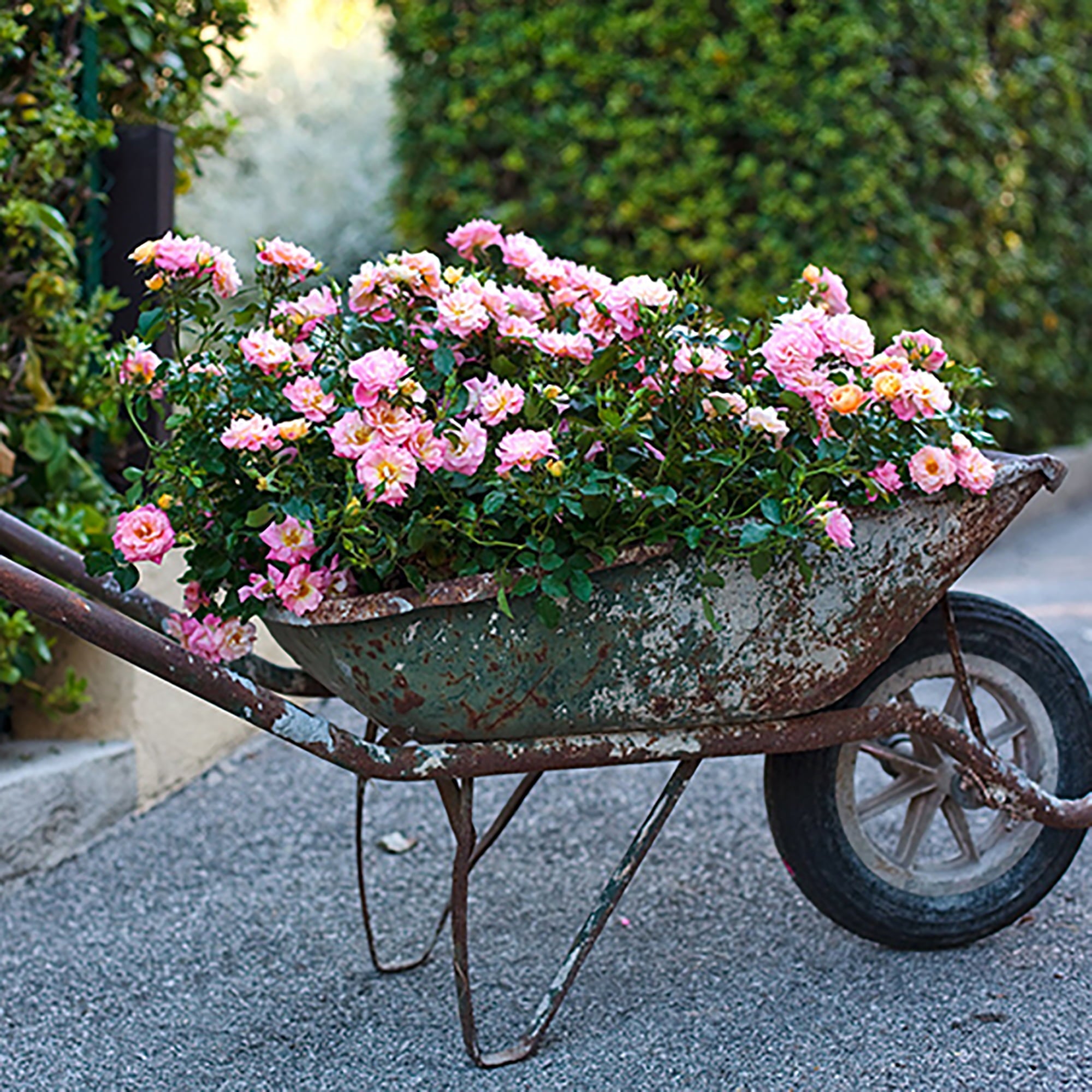 75084F0F-DE4A-2719-3C83-8C6BEF926634