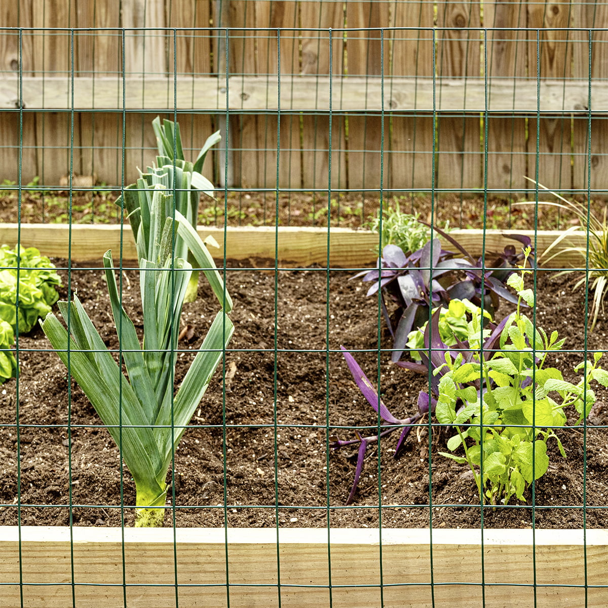 797561F7-1F05-4313-9E9E-C7FEAFC89183