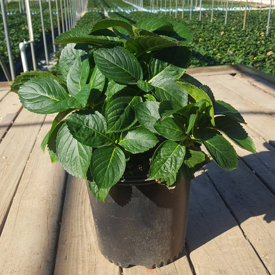 8E79EED8-0CB2-3F4C-A7F1-2D1487FC2574