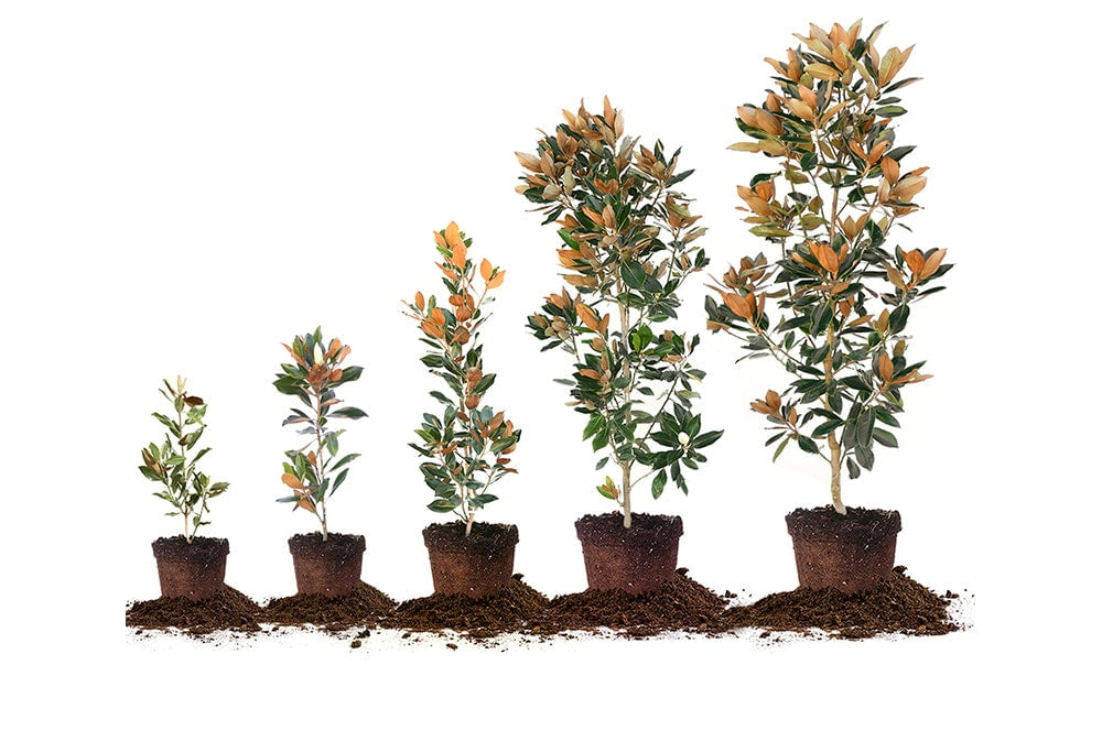 B66DDA00-8960-E896-F008-5FCB1982F811