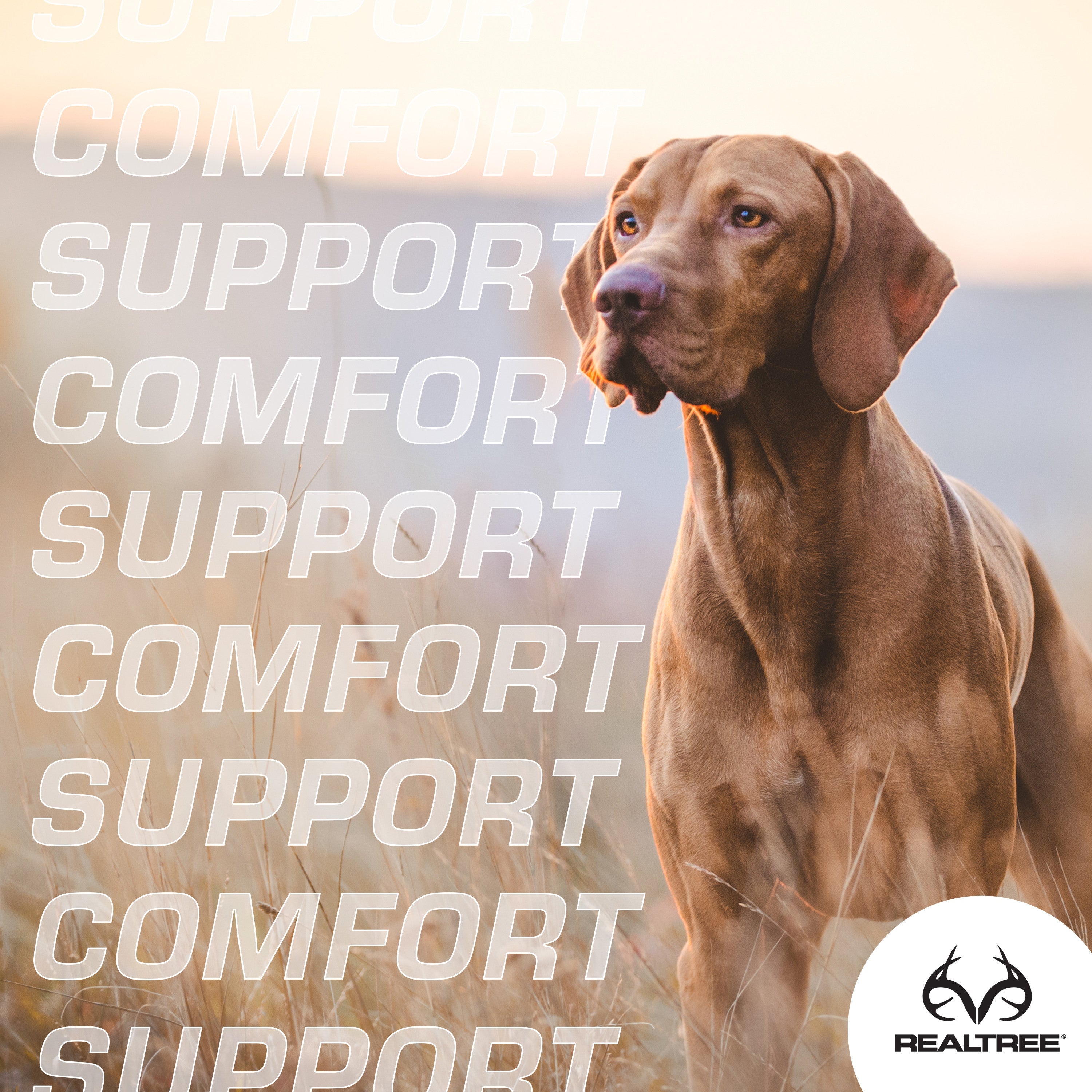 FFE71A3F-759B-2E10-8F7A-BDC1C025BEFC